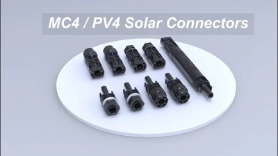 2026 Top Candy Trends and What You Need to Know?