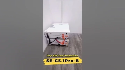 What is the Best Type of Dog Collars Suppliers for Your Needs