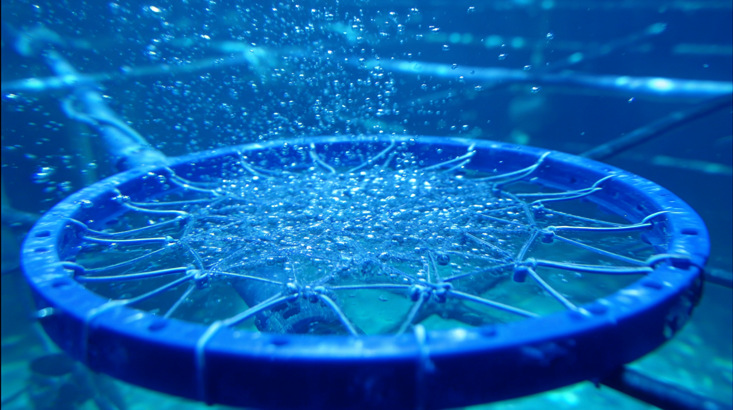 Exploring the Science of Bubble Disc Diffusers: Enhancing Aeration Efficiency in Aquaculture