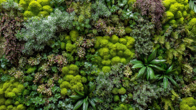 Transform Your Outdoor Space with Unique Wall Panels for Stunning Decor