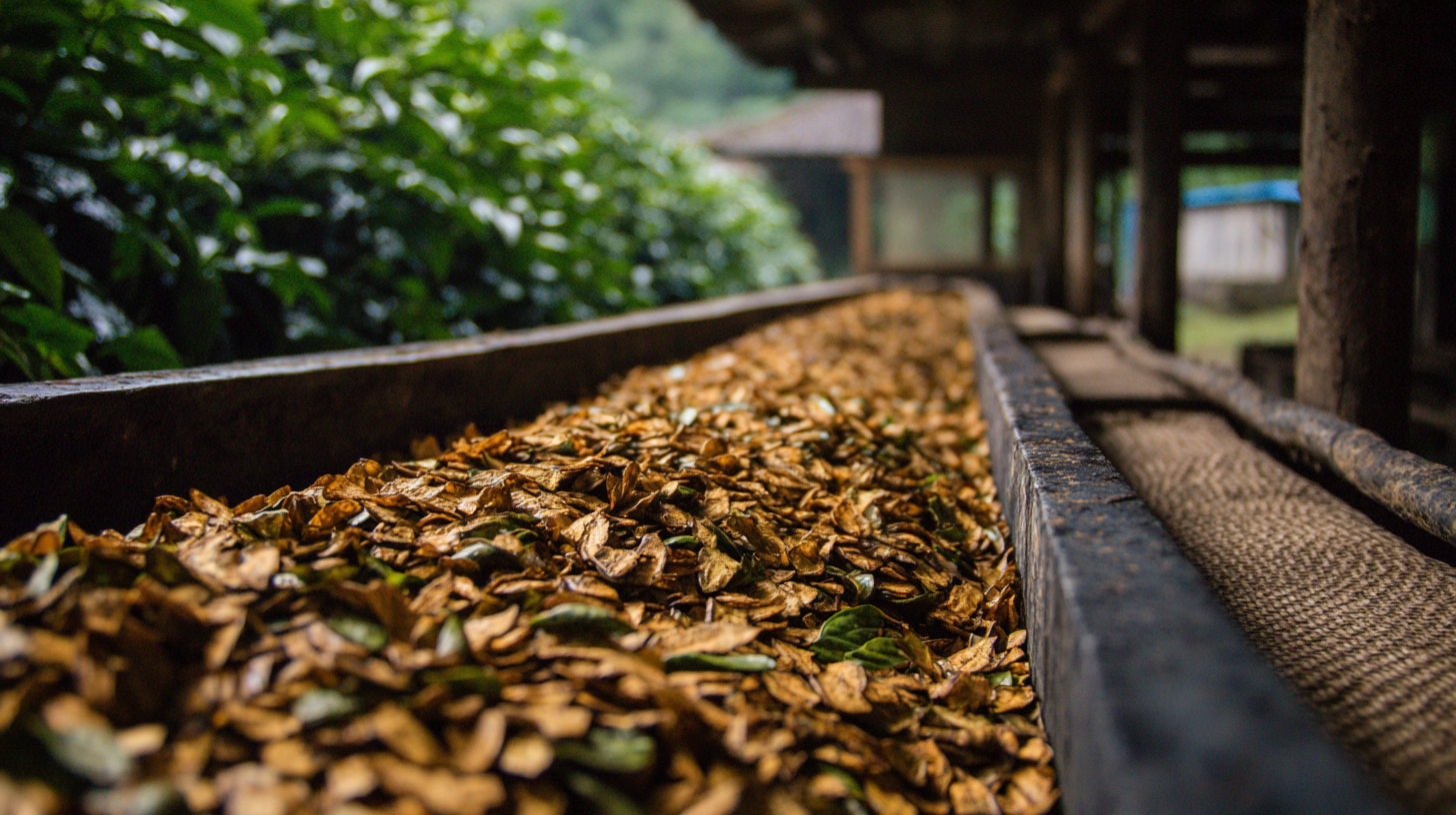 The Ultimate Guide to Understanding Pu Dehydrated Screen Applications and Benefits