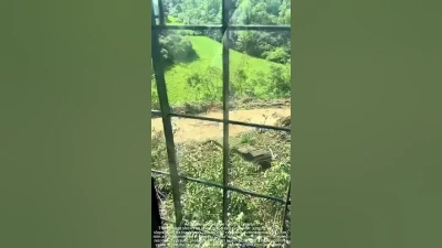 Exploring the Mechanics and Benefits of Track Pad Excavators in Modern Construction