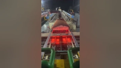 Unlock the Durability: How Caterpillar Track Shoes Impact Heavy Machinery Efficiency by 30%