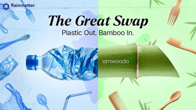 2026 Best China Pet Jewelry Designer and Manufacturer Insights?