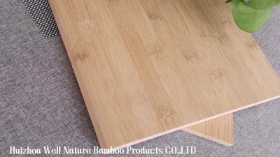 Exploring the Sustainability and Versatility of Bamboo Plywood in Modern Design