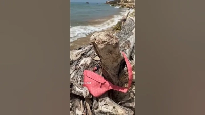 How to Choose the Best Container Camp for Your Outdoor Adventures