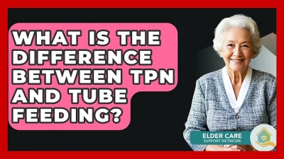 2026 Best Dog Collars Suppliers for Quality and Style