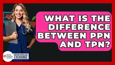 What is a China Pet Jewelry Designer and Manufacturer?