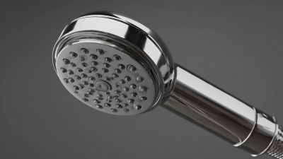 10 Ingenious Shower Head Holder Designs to Transform Your Bathroom Experience