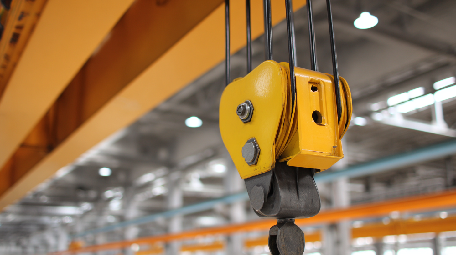 Understanding Electric Trolley Hoists