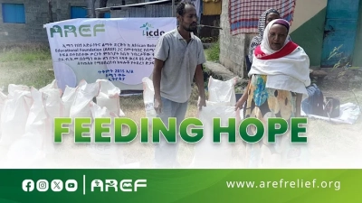 Top China Pet Jewelry Designers and Manufacturers Guide?