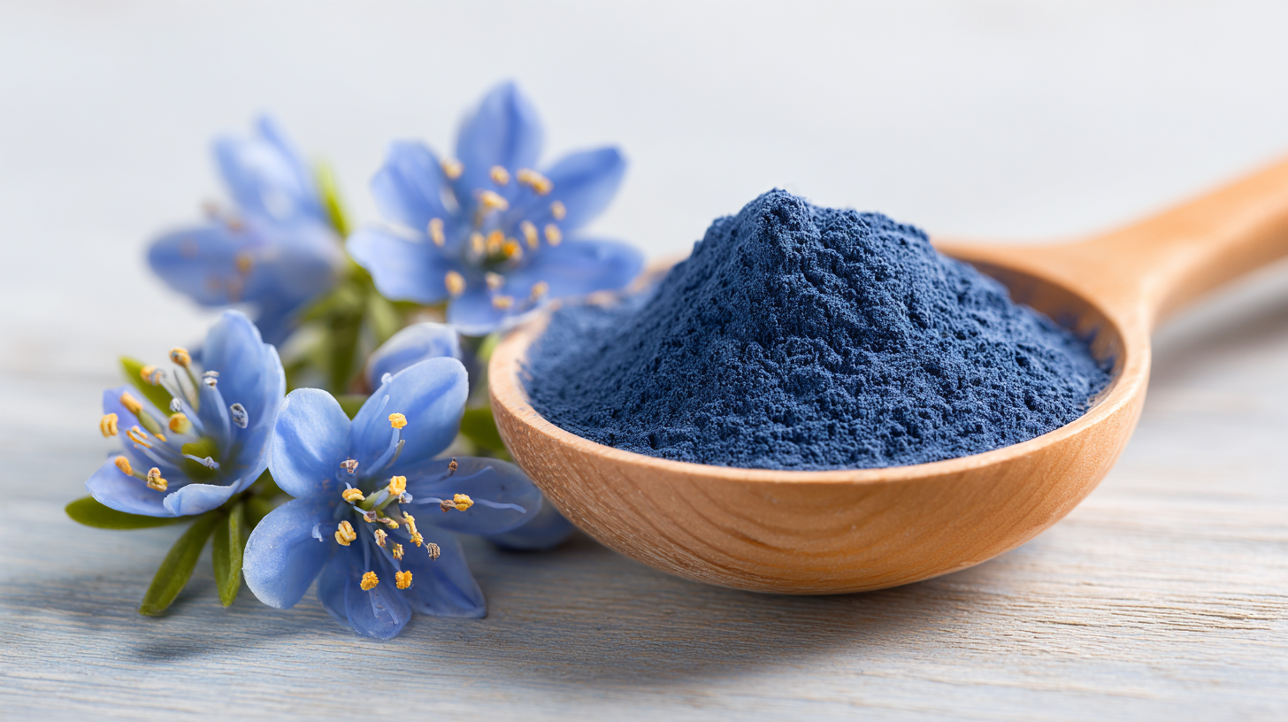 Unlocking the Power of Fisetin Extract Powder: The Science Behind Its Anti-Aging Benefits