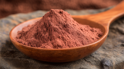 Unlocking the Health Benefits of Organic Reishi Mushroom Powder and Its Impact on Immune Function