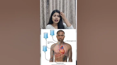 What is the Best Dog Collars Suppliers for Quality and Affordability