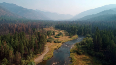 Exploring Innovative Wildfire Water Solutions to Protect Our Communities and Environment