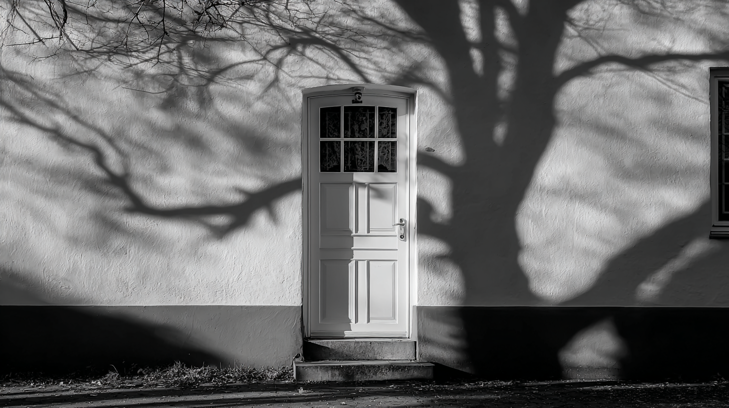 The Ultimate Guide to Choosing the Right Hollow Door for Your Home