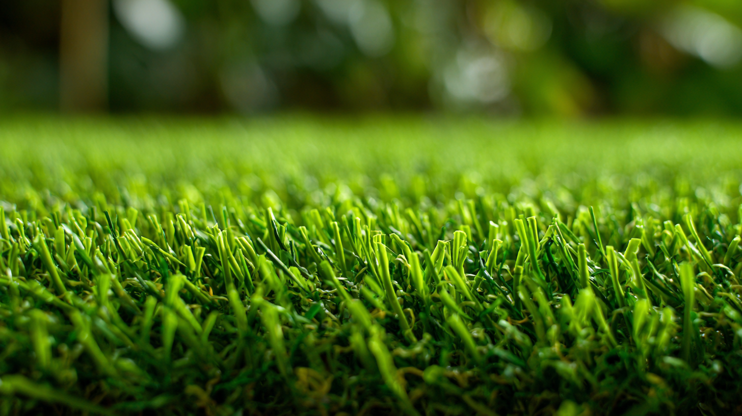 The Benefits of Choosing Plastic Artificial Grass for Your Outdoor Spaces