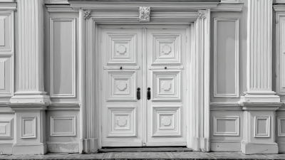 Exploring the Elegance and Functionality of Double Front Doors: A Comprehensive Guide