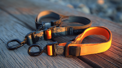 Ultimate Guide to Cam Straps: How to Choose the Right One for Your Outdoor Adventures