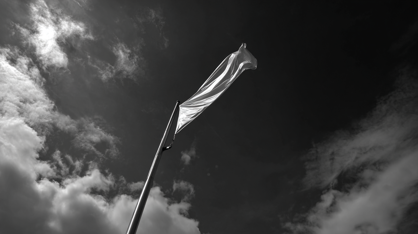 The Ultimate Guide to Choosing the Right Telescopic Flag Pole for Every Occasion