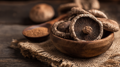 Unlocking the Health Benefits of Shiitake Mushroom Extract: Nature’s Superfood Revealed