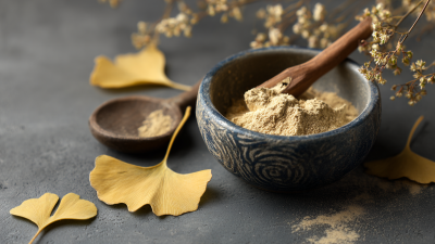 Transform Your Mind: Discover the Benefits of Ginkgo Biloba Powder for Enhanced Cognitive Function