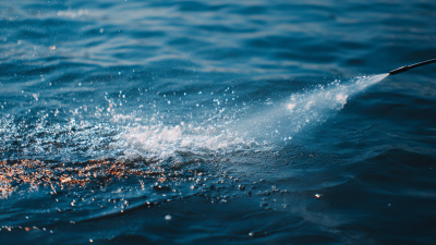 Understanding the Role of Aquatic Disinfectants in Preventing Waterborne Diseases for Healthier Aquatic Environments