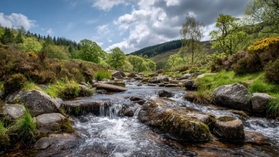 Maximizing Efficiency with Inverter Pure Sinus: A Comprehensive Guide to Choosing the Right Model