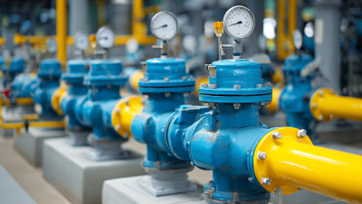 Understanding the Importance of Mechanical Flow Meters in Modern Industrial Applications