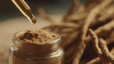 Unlocking the Secrets of American Ginseng Extract for Enhanced Vitality and Wellbeing