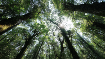 Achieving Carbon Neutrality: The 2023 Guide to Reducing Your Footprint with Proven Strategies and Stats