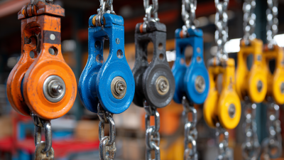 5 Essential Tips for Choosing the Right Manual Chain Hoist for Your Workshop Needs