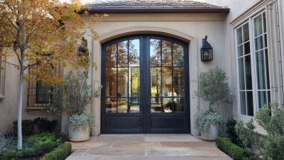 Transform Your Home's Entryway: The Ultimate Guide to Modern Iron Doors