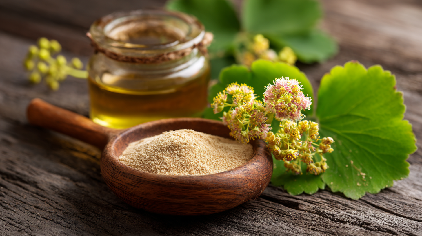 What is Epimedium Extract and Its Benefits for Health and Wellness
