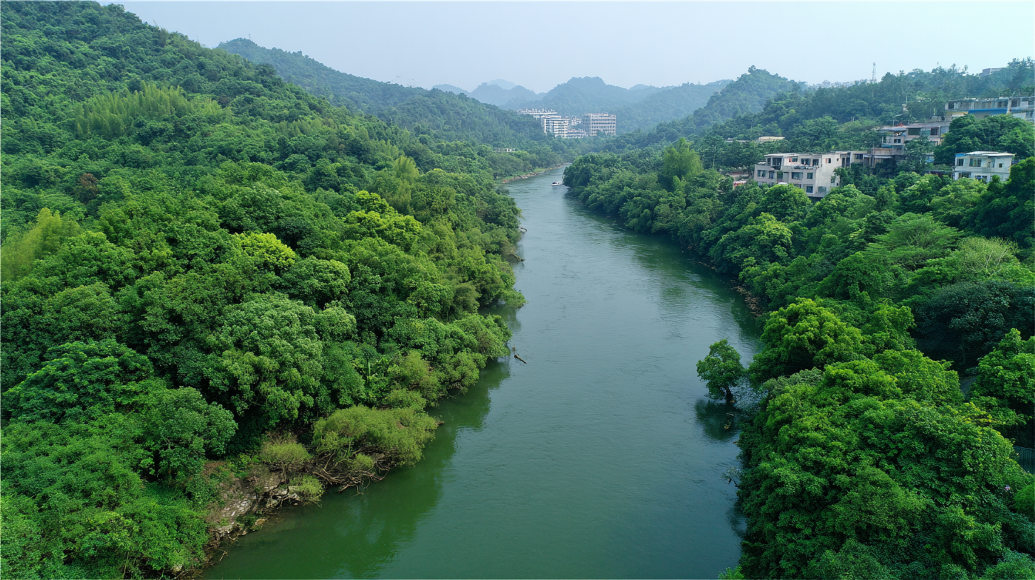 What is Die Cutting? Understand the Process, Benefits, and Applications