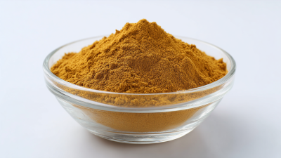 Discover the 2025 Top 10 Fucoxanthin Powder Suppliers for Health and Wellness