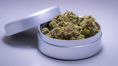 Top 10 Smell Proof Containers for Maximum Odor Control and Freshness Preservation