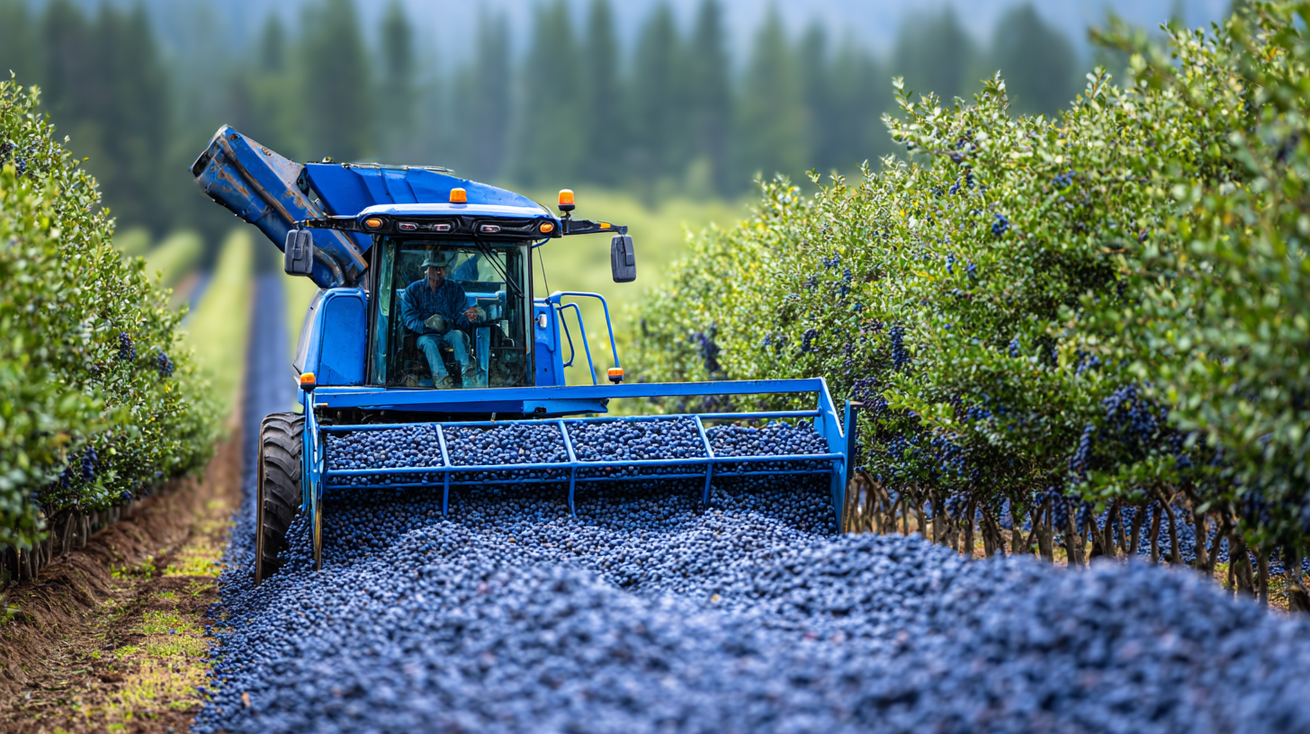 2025 Top 5 Blueberry Harvesters with Industry Insights and Performance Analytics