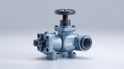 2025 Top 5 Ball Check Valve Innovations for Reliable Fluid Control