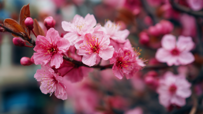 Why Contact Spring is Essential for Your Seasonal Business Success