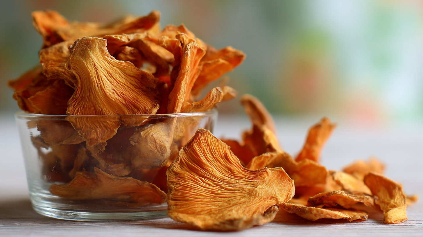 Top 5 Benefits of Dried Ginger for Your Health and Wellness