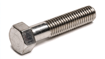 Top 10 Stainless Bolt Types for Maximum Durability and Performance in 2023