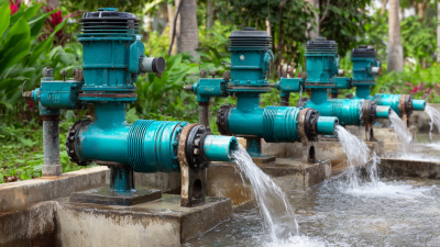 What is the Best Water Pump for Home Use in 2023