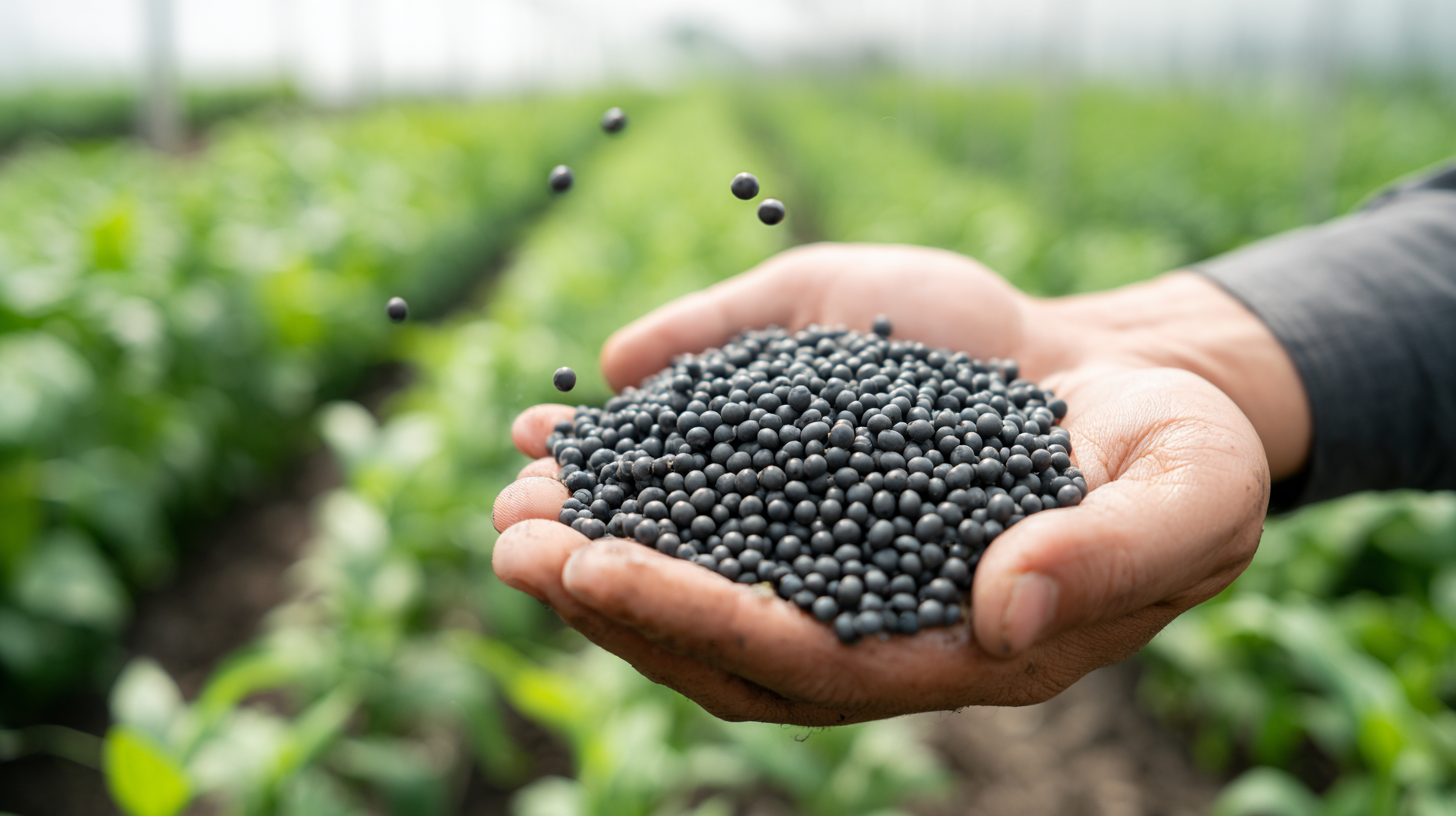Top 10 Benefits of Using Calcium Nitrate Boron Fertilizer for Plants