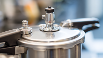 2025 Top 5 Pressure Cooker Replacement Valves for Efficient Cooking