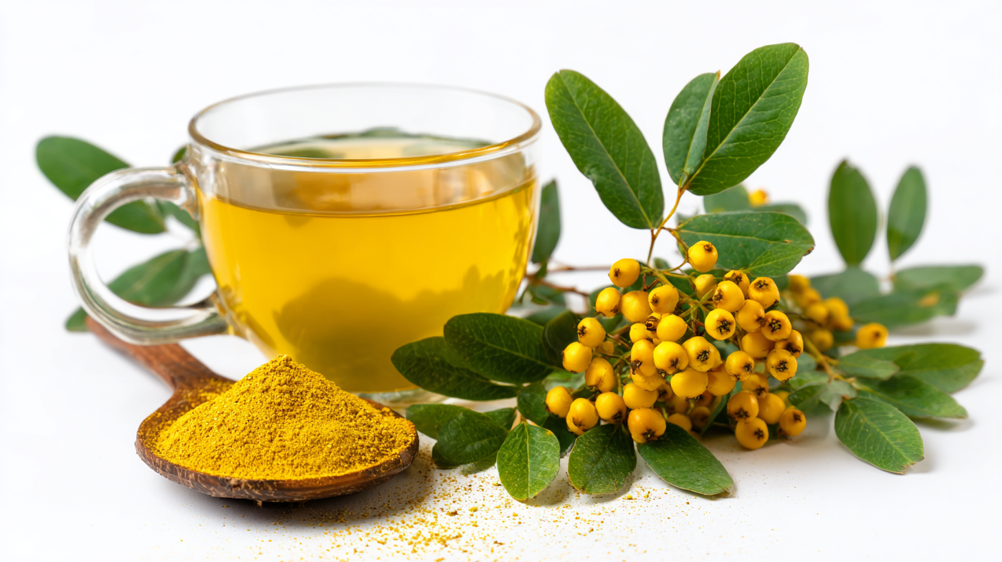 Top 10 Benefits of Berberis Vulgaris Extract for Health and Wellness