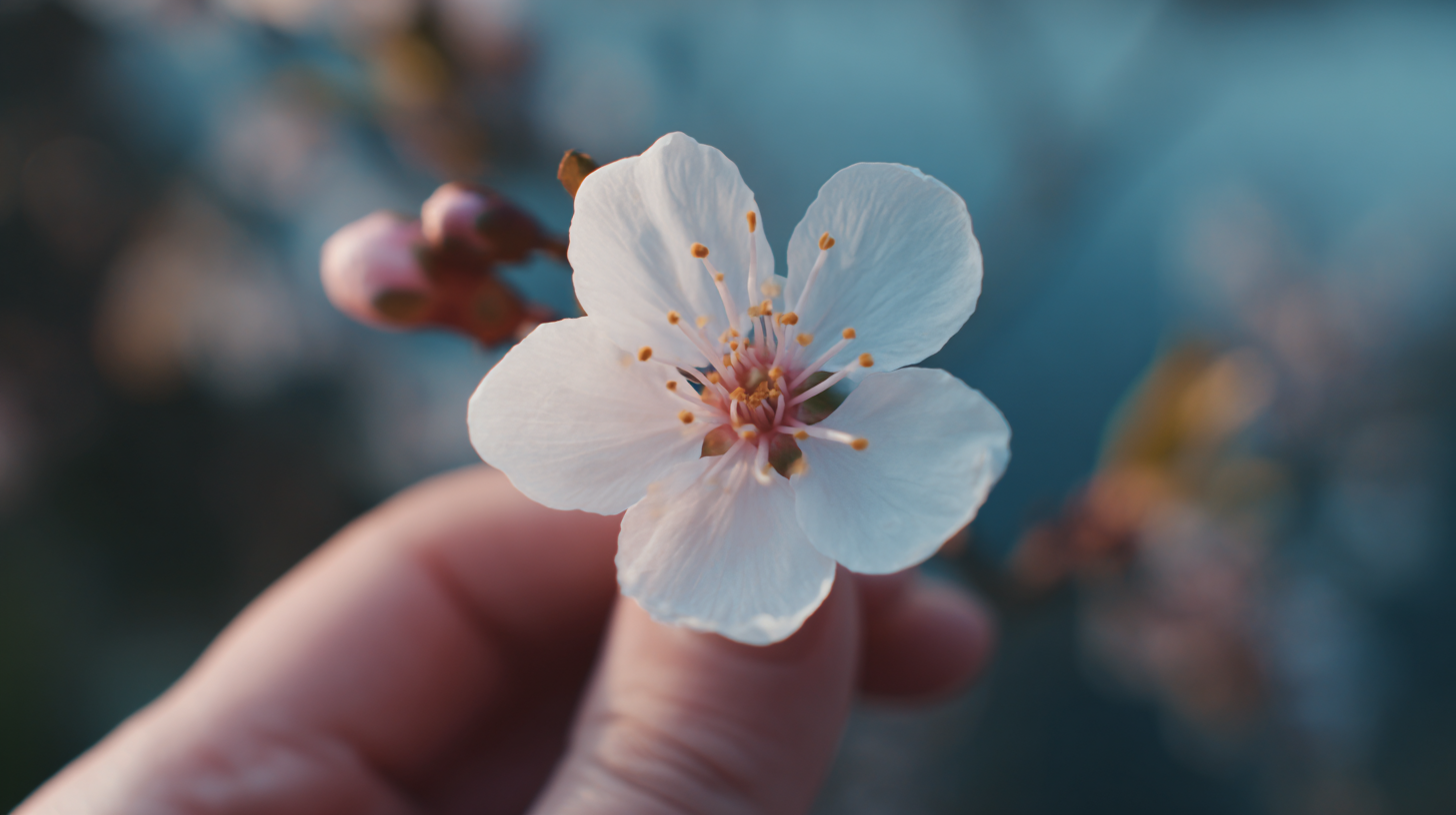 What is Touch Spring and How It Revolutionizes Your Experience