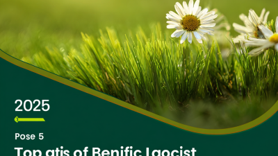 2025 Top 5 Benefits of Using Plastic Artificial Grass for Your Lawn