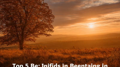 Top 5 Benefits of Installing an Outside Door for Your Home