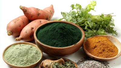 10 Essential Tips for Finding Reliable Sodium Copper Chlorophyllin Powder Suppliers